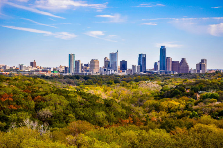 Cityscape view and forest