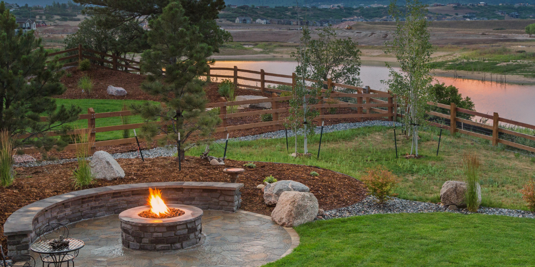 reclaim your backyard