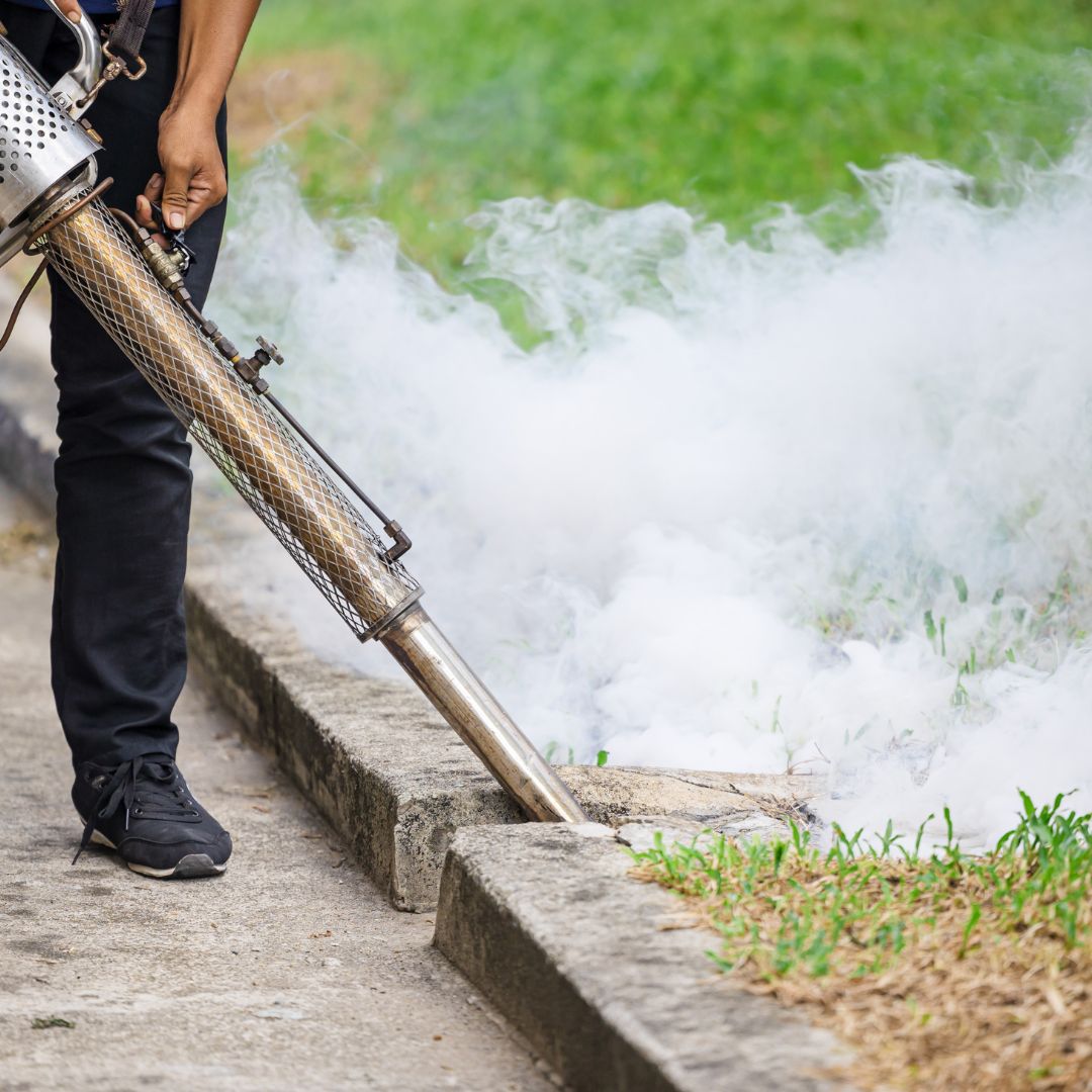 Mastering Mosquito Control A Comprehensive Guide to Mosquito Yard Fogging and QuickNix Mosquito
