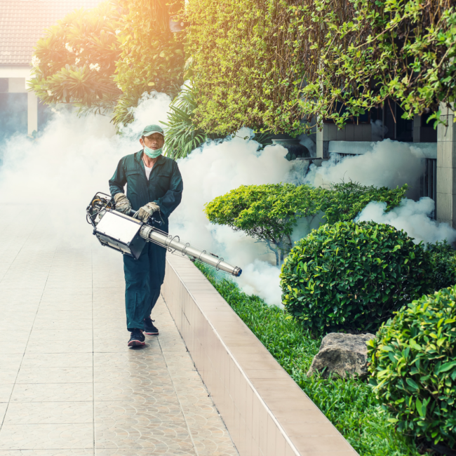 Mosquito Yard Fogging