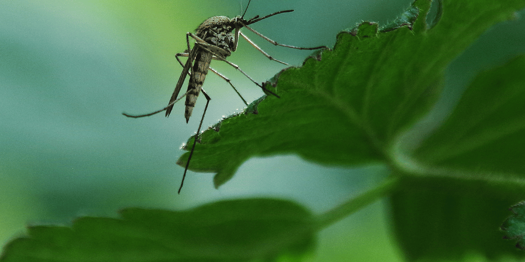 MNX_B2_treatment company